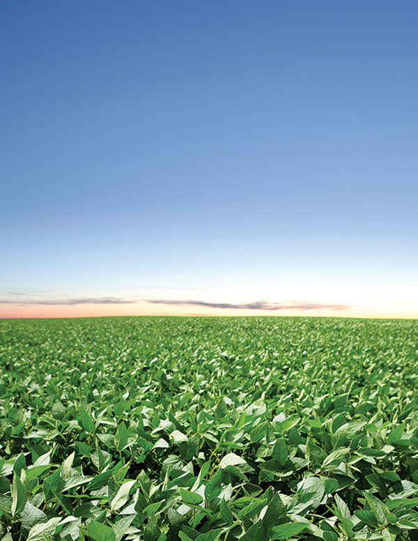 Syngenta crop challenge