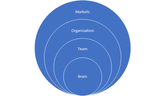Innovation as a complex adaptive system. 
