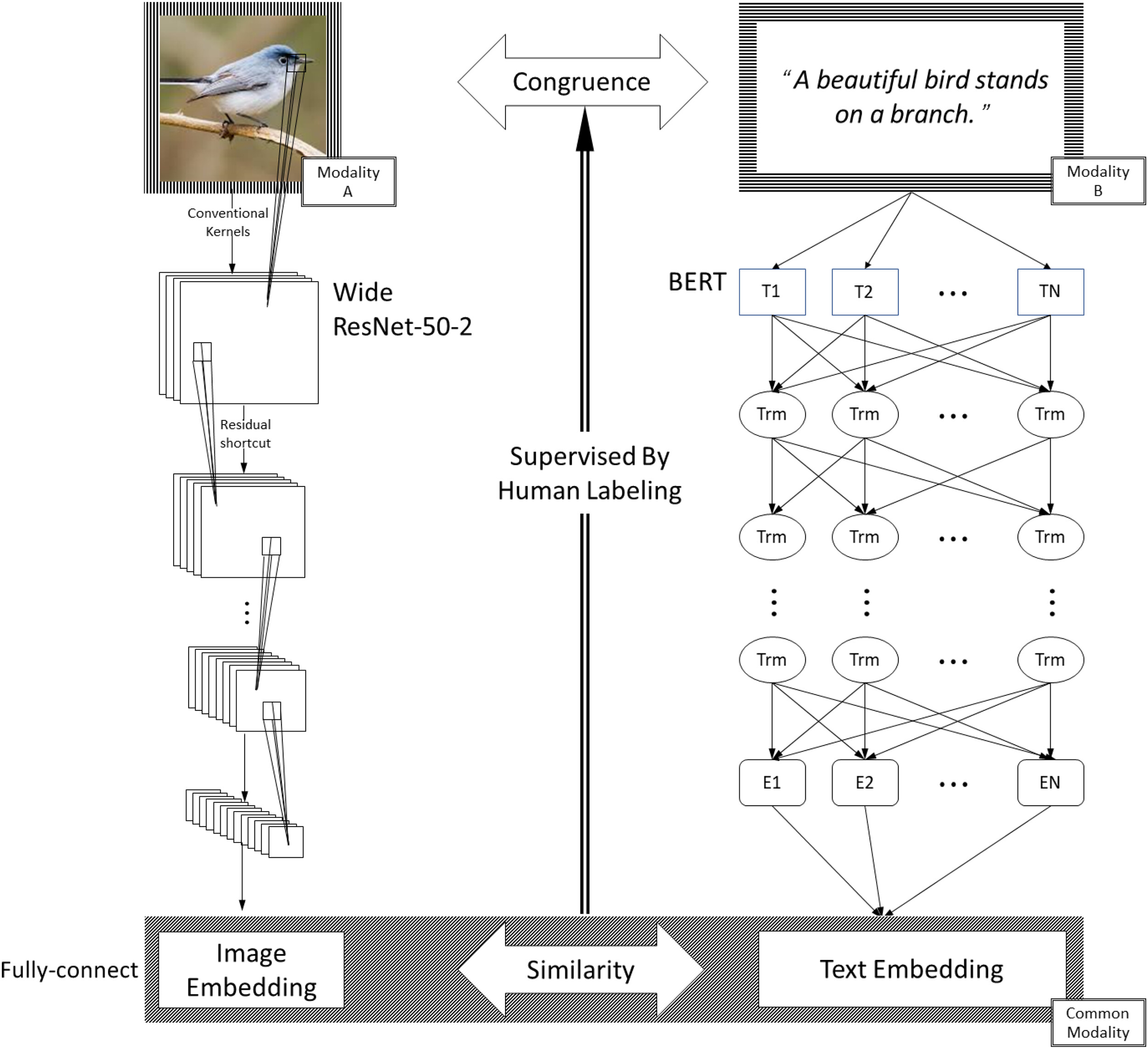 Is Relevancy Everything? A Deep-Learning Approach to Understand the ...