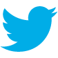 light blue birdie