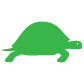 green turtle