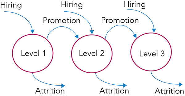 schematic diagram of employee career progression