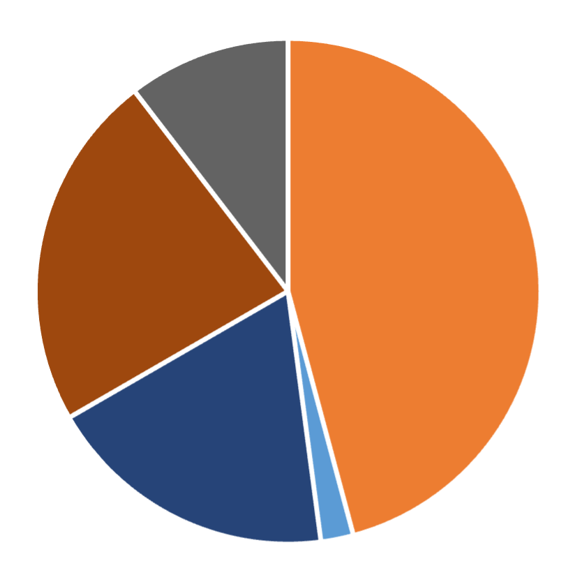 Ethnic composition, Information Systems Research, May 2025