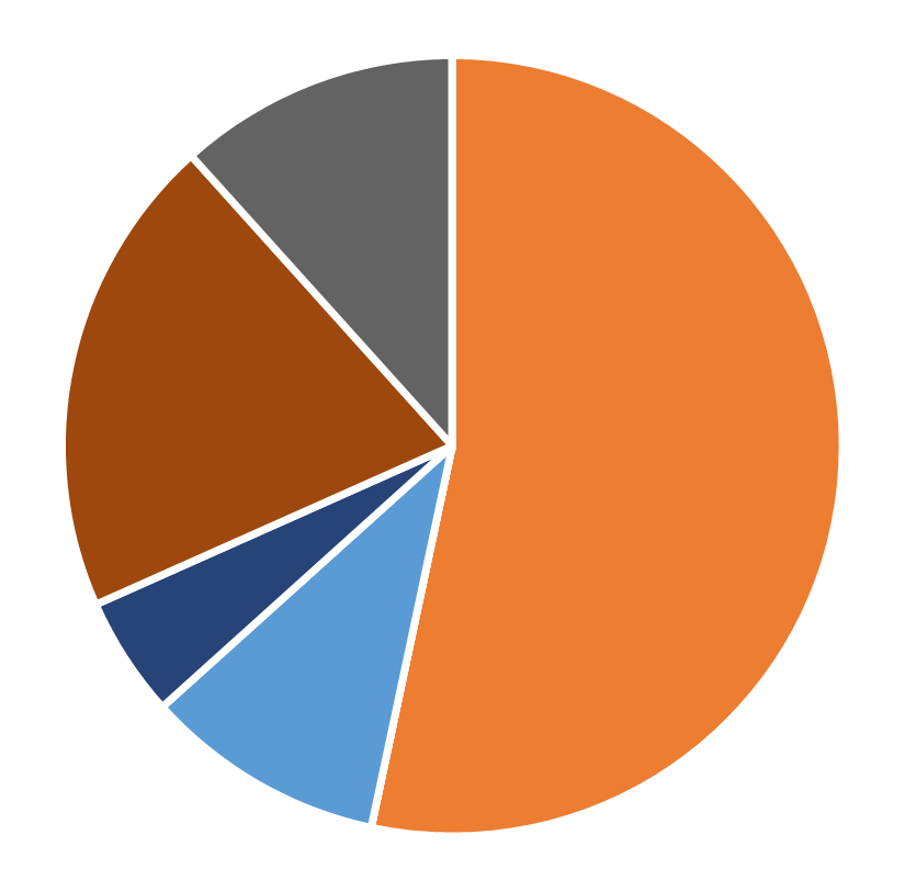 Ethnic diversity, Service Science, May 2025