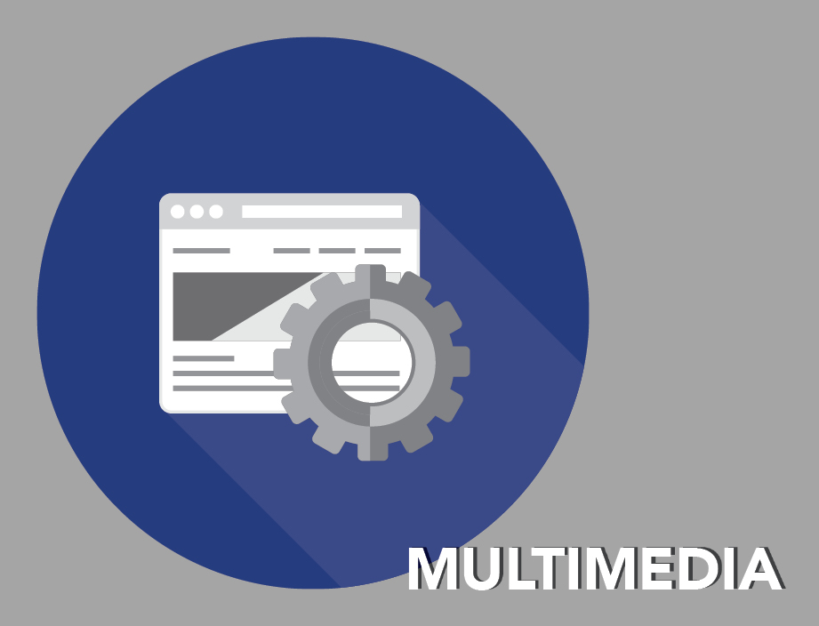 Elections: Analytics and Beyond Multimedia
